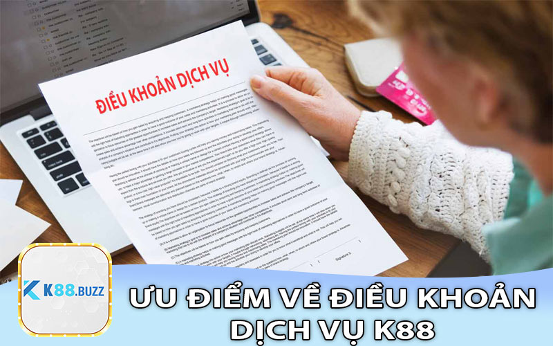 Đọc hiểu về điều khoản sử dụng dịch vụ K88