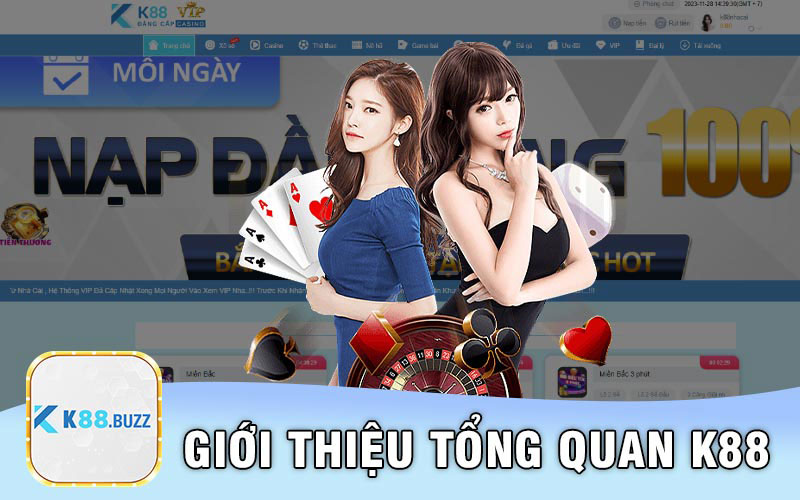 Giới thiệu tổng quan K88